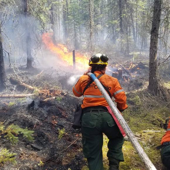 Meet your Posher, Amelia - Picture 1 of 1